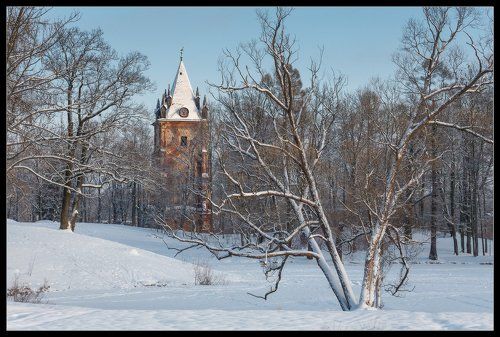 Зима 2015 в Царском Селе