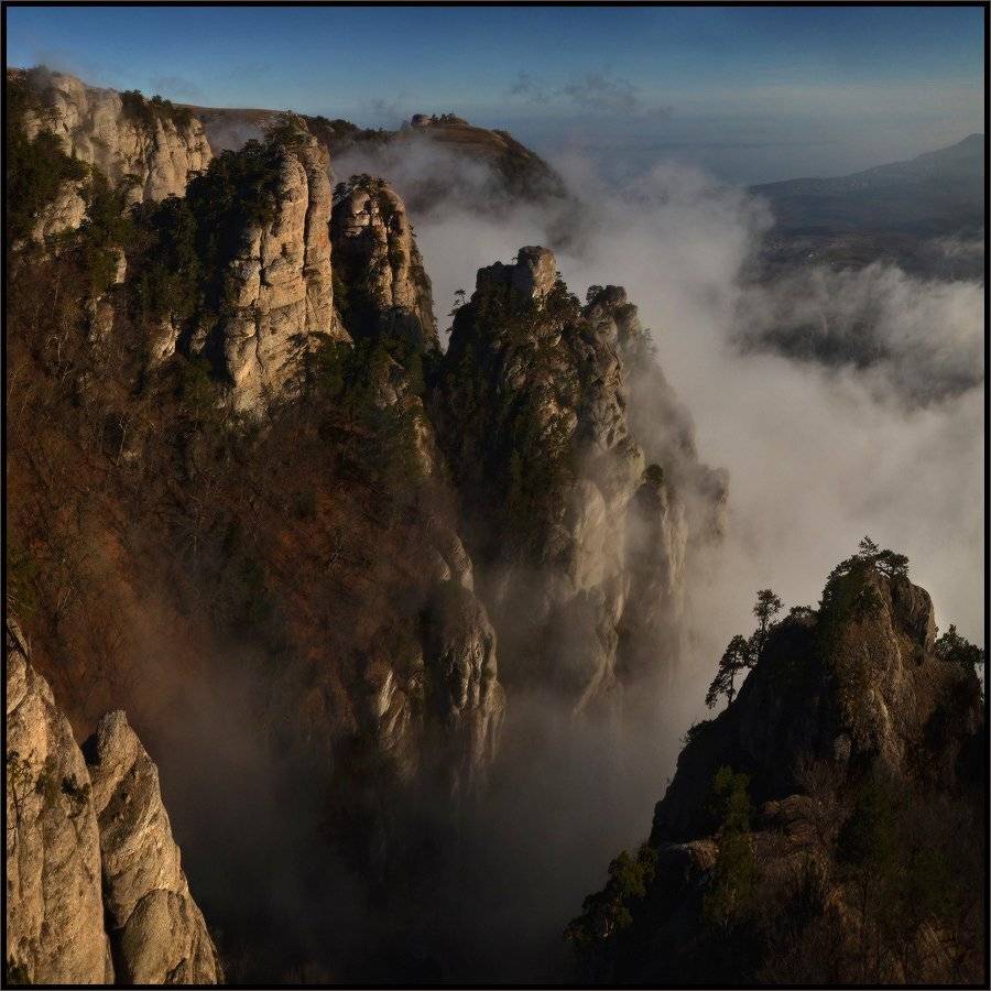 , Владимир Метцгер