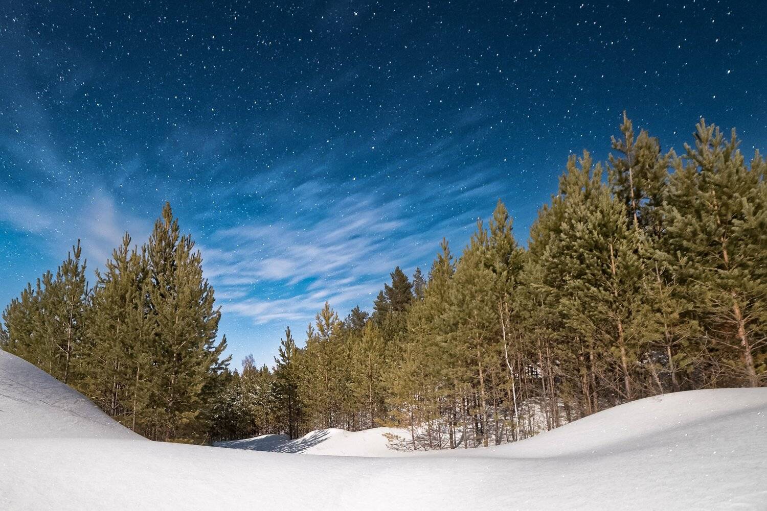 , Дмитрий Старостенков