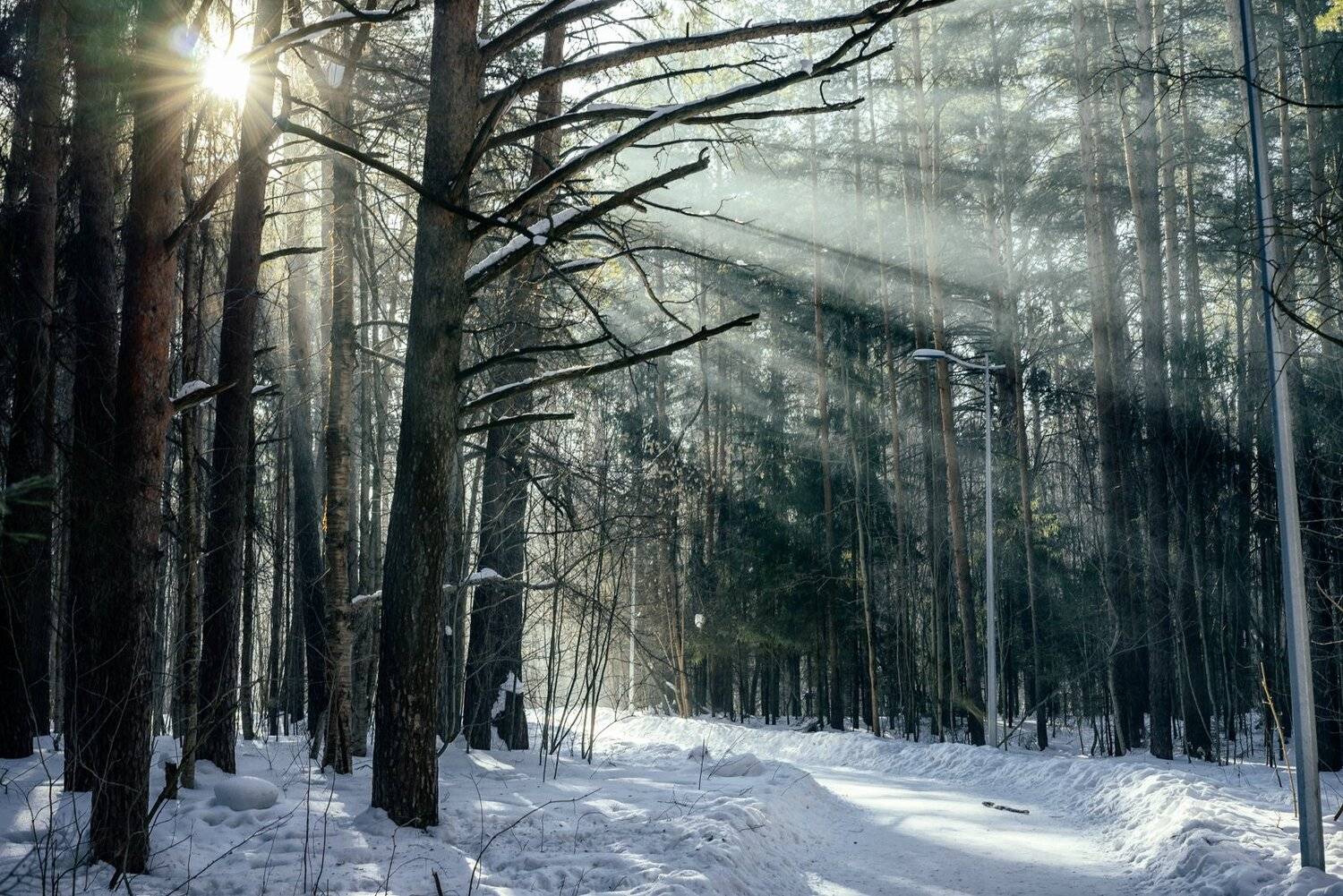 , Павел Лысков