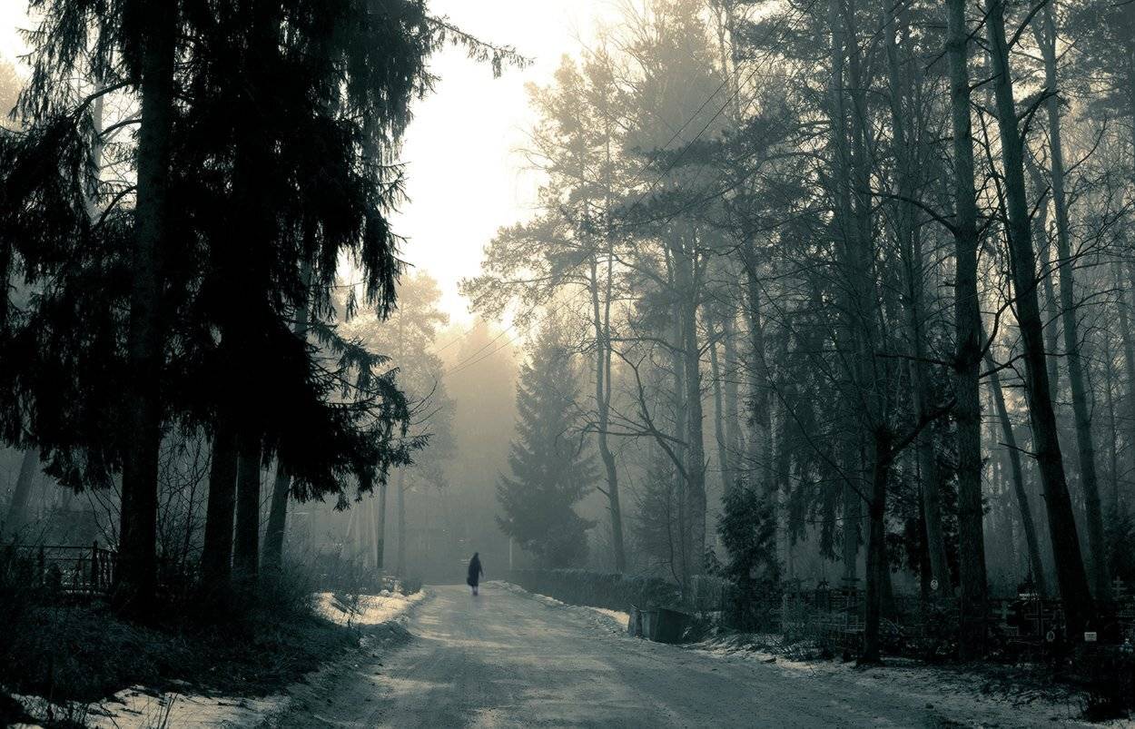 , Анна Кудрявцева