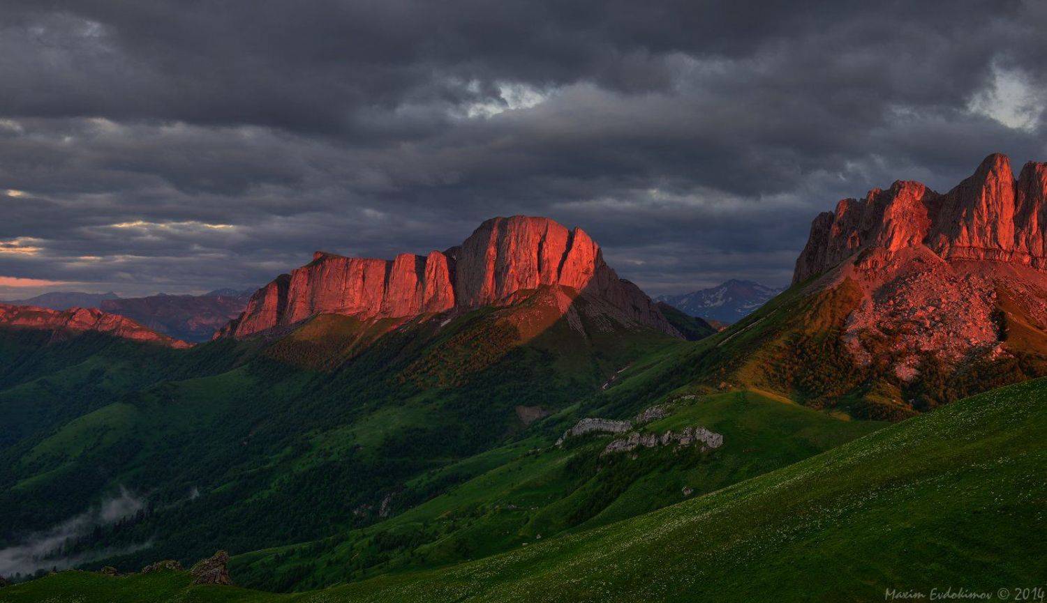 , Максим Евдокимов