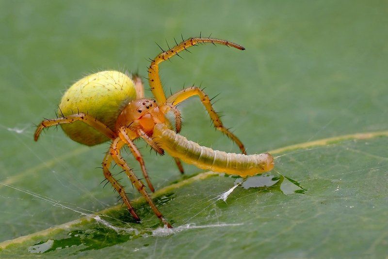 Laws of nature фото превью