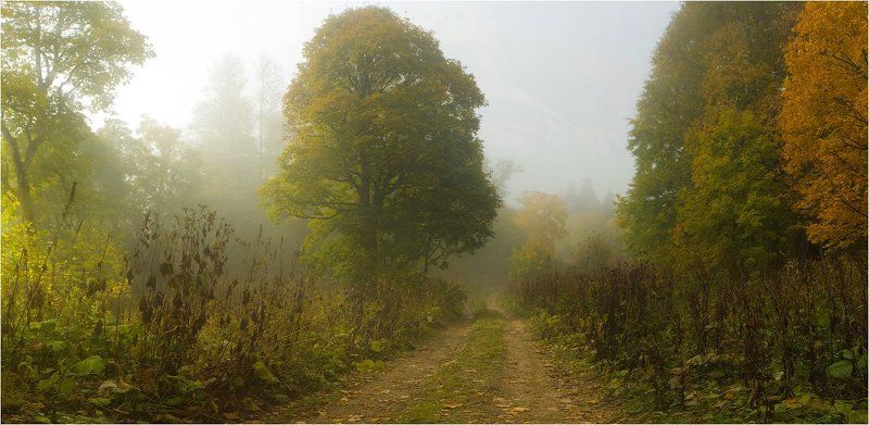 адыгея, осень ещё раз об осени в Адыгее... фото превью