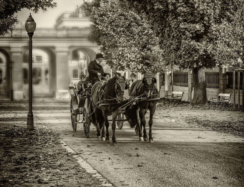 Венские зарисовки... фото превью
