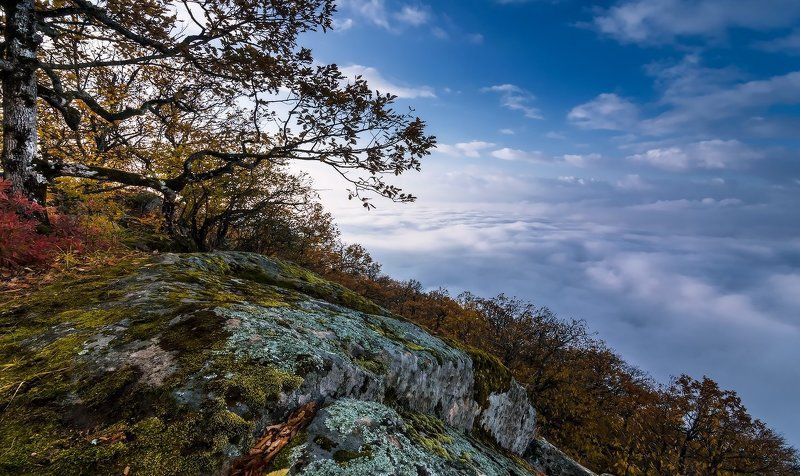 по над усім фото превью