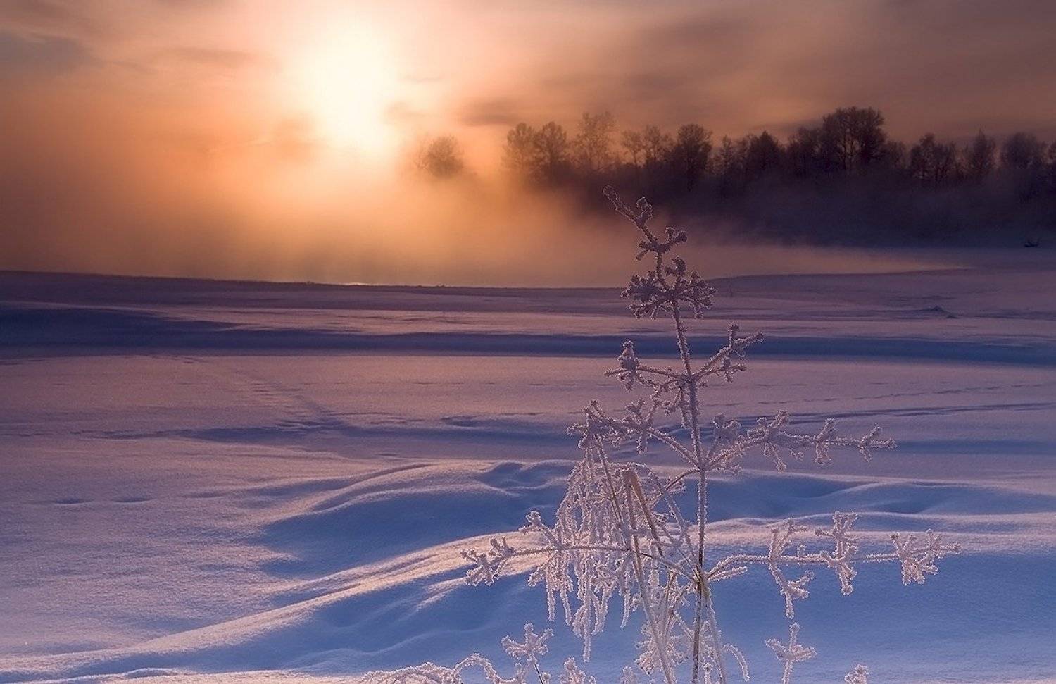 , Николай Морский