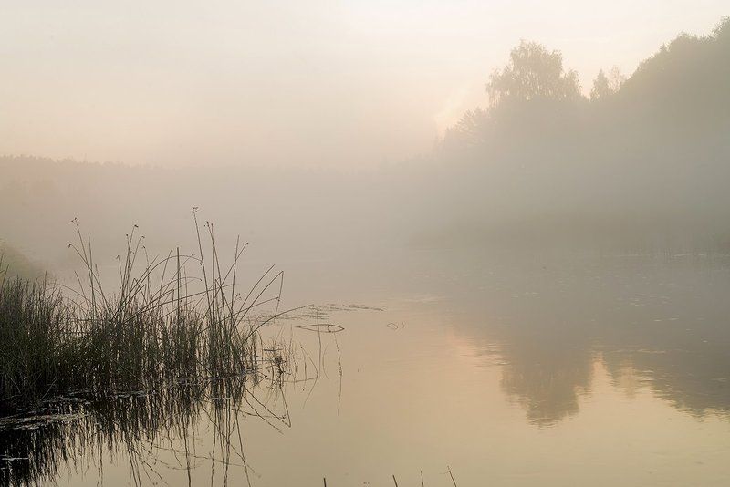 Утро сентября фото превью