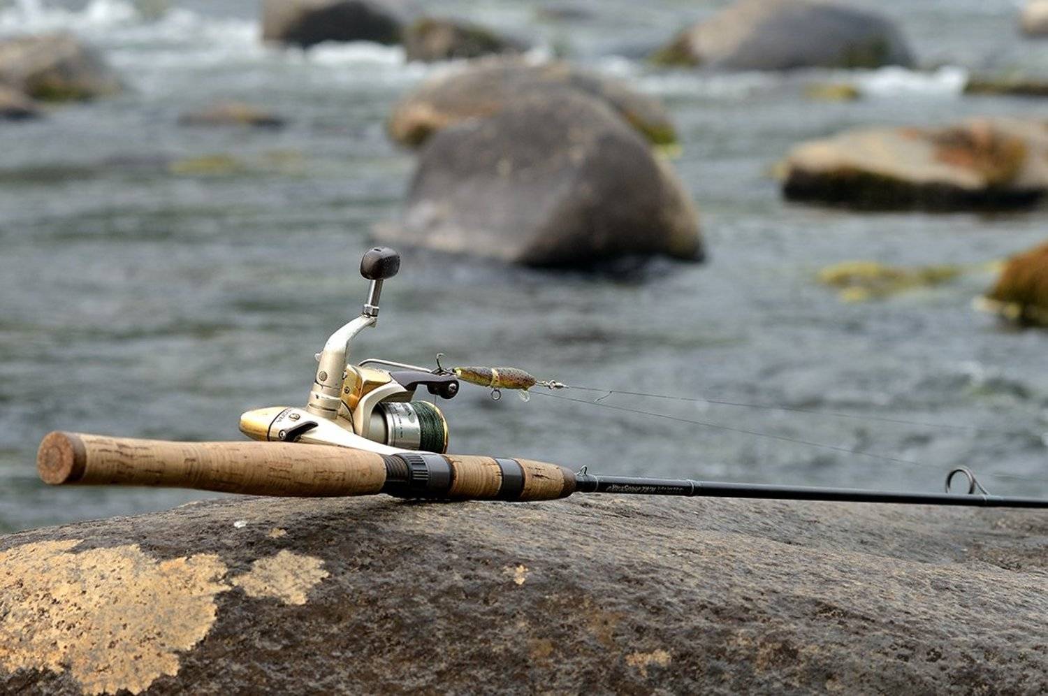 , Владимир Пчелинцев