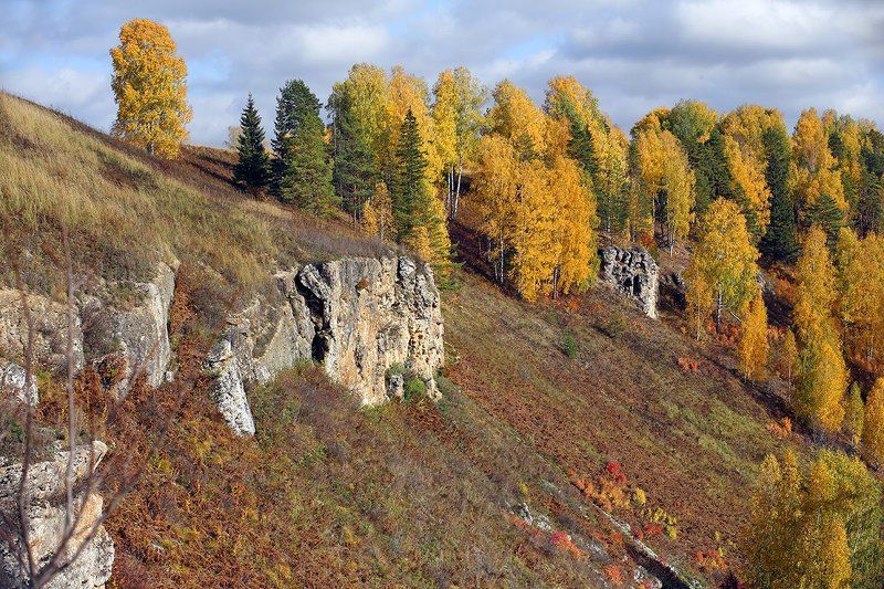 Золотые склоны фото превью