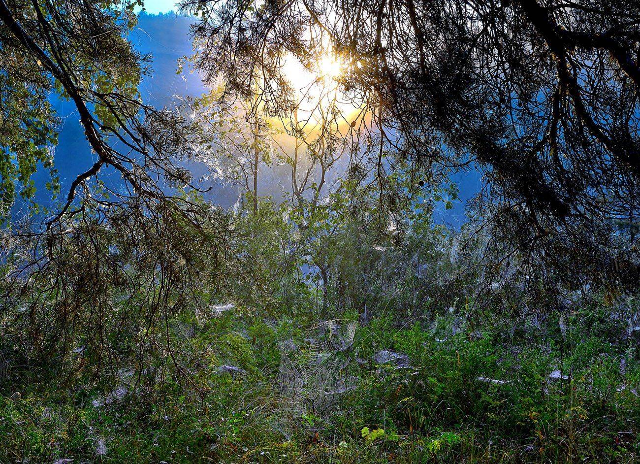 Башкирия, Качурин алексей, Оренбургская область, Орск, Качурин Алексей