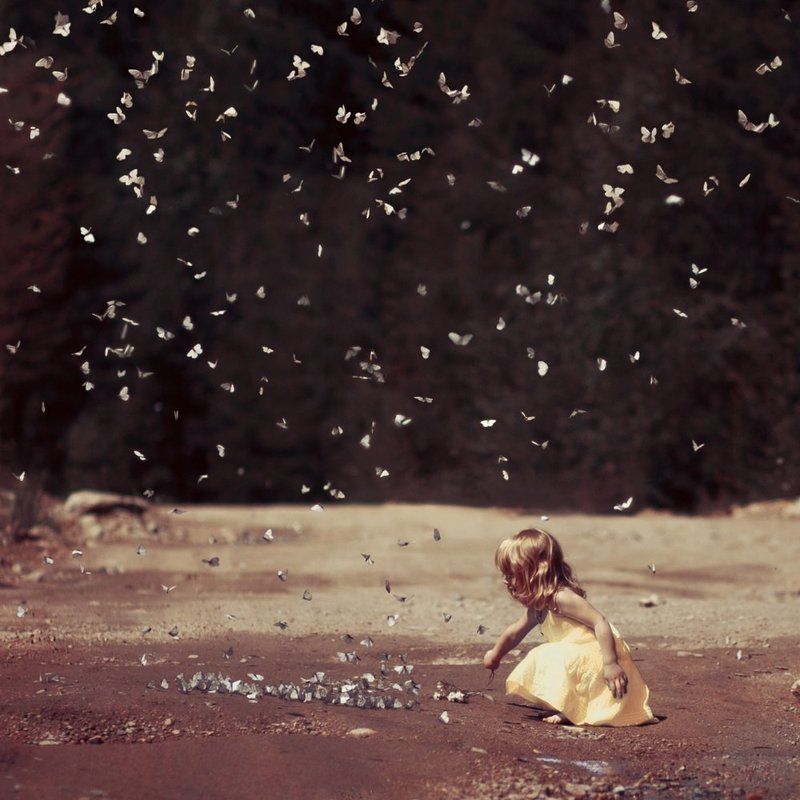 Butterfly, Girl butterflies фото превью