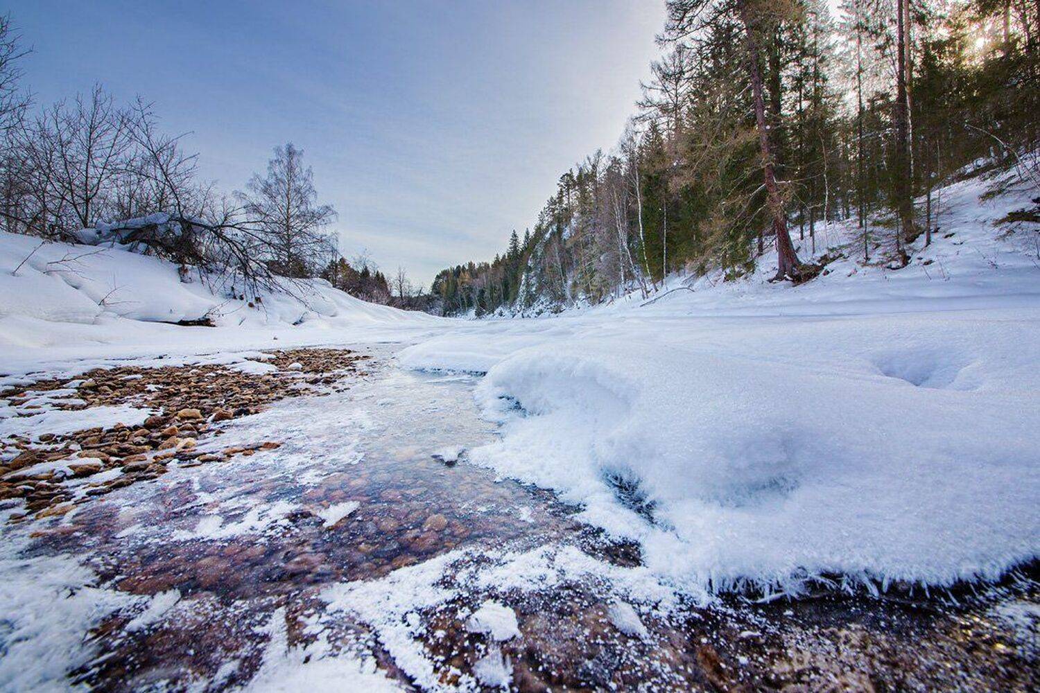 , Станислав Аристов