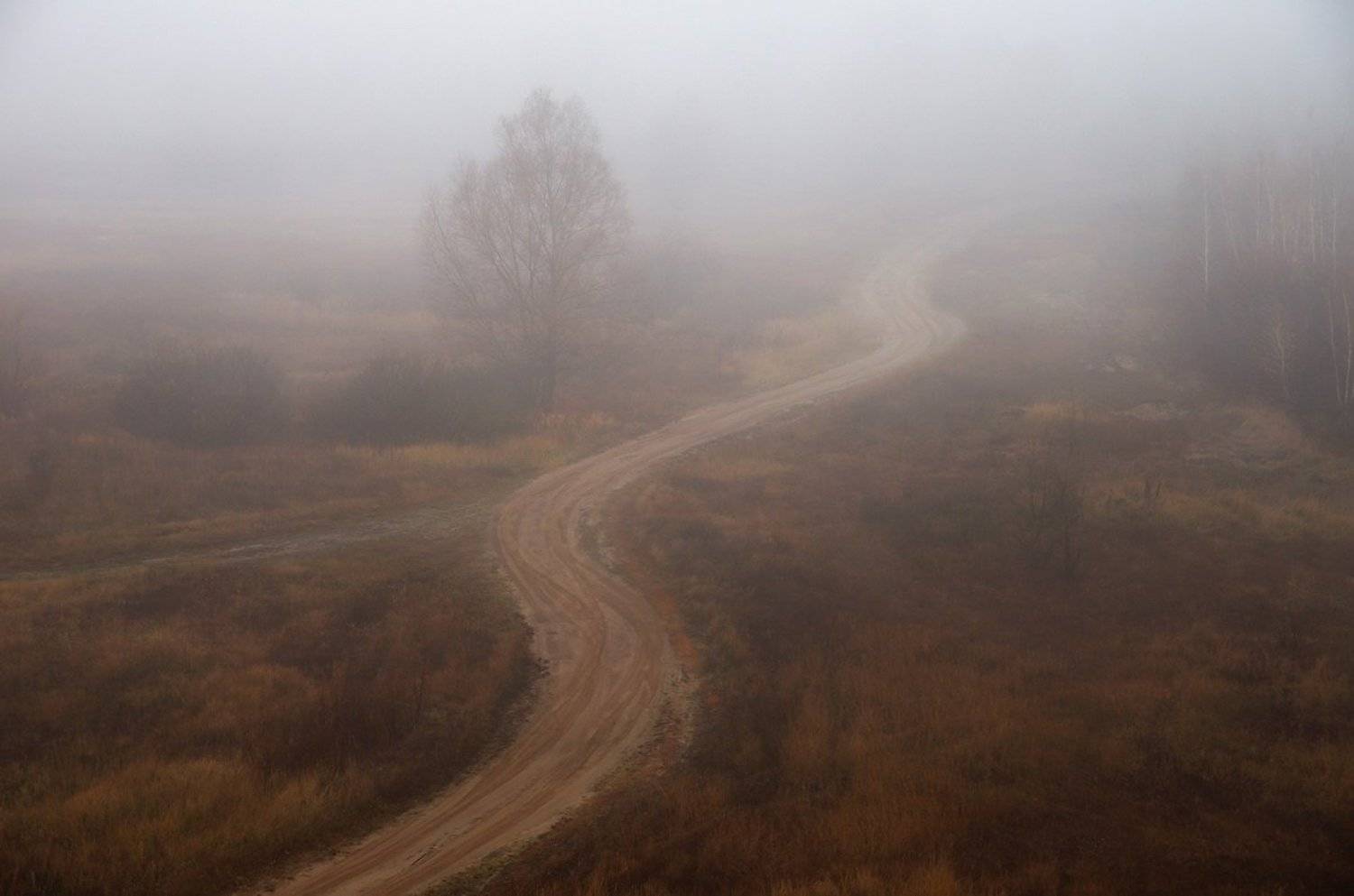 , Сергей Шляга