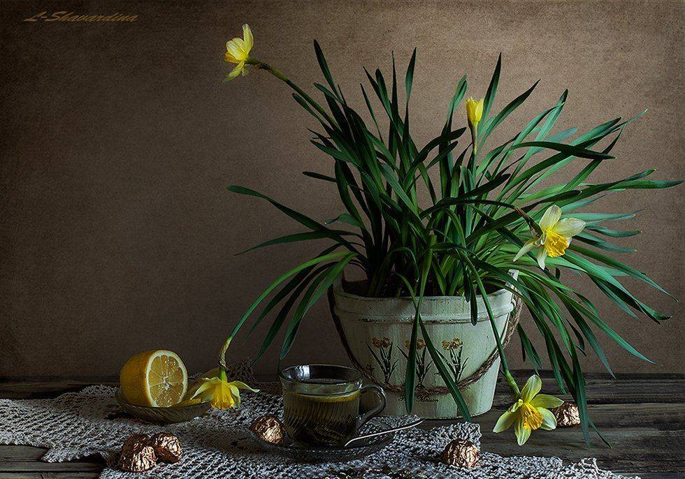 , Елизавета Шавардина