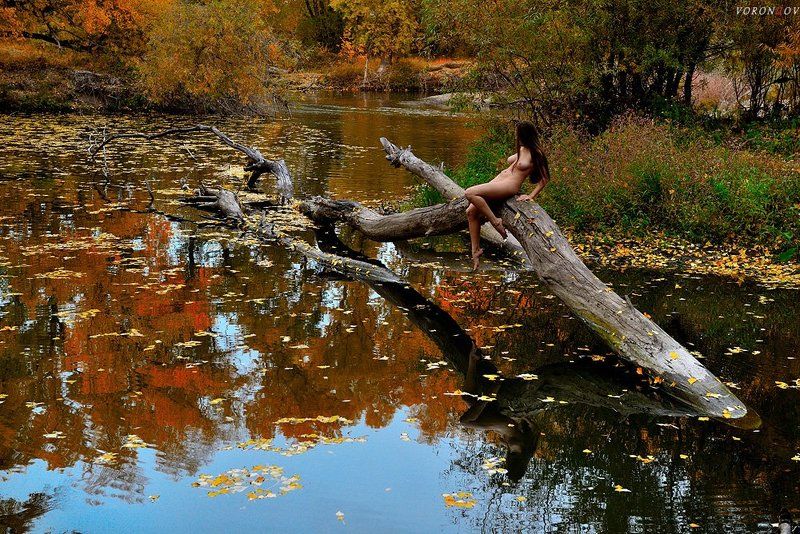 девушка,ню,осень,красота, Золотая русалка фото превью