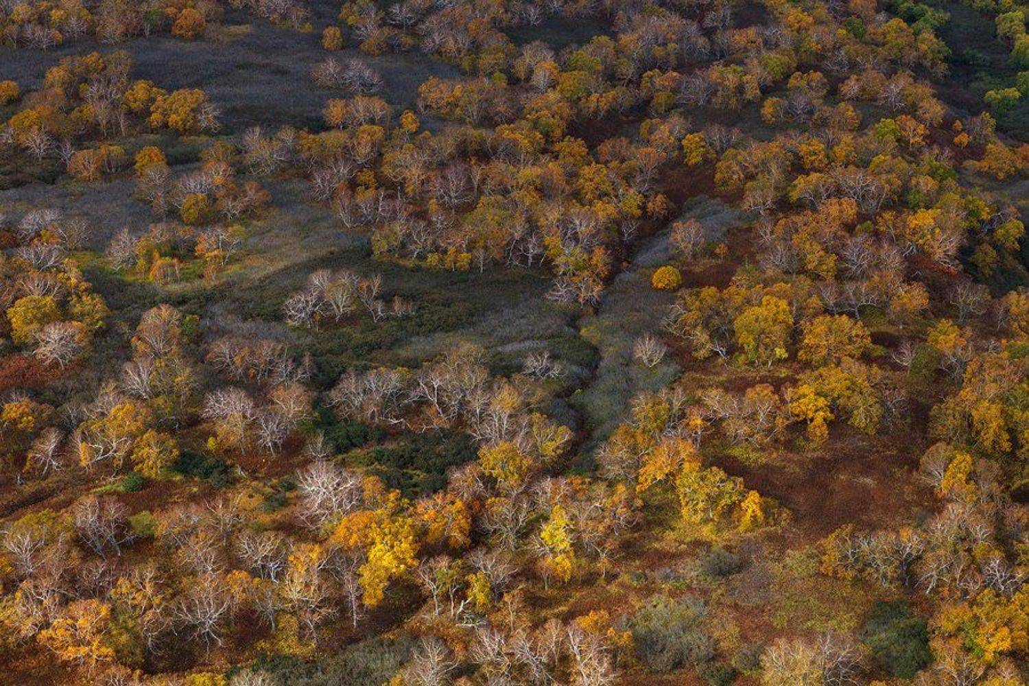 Вулкан, Камчатка, Фототур, Сергей Краснощёков