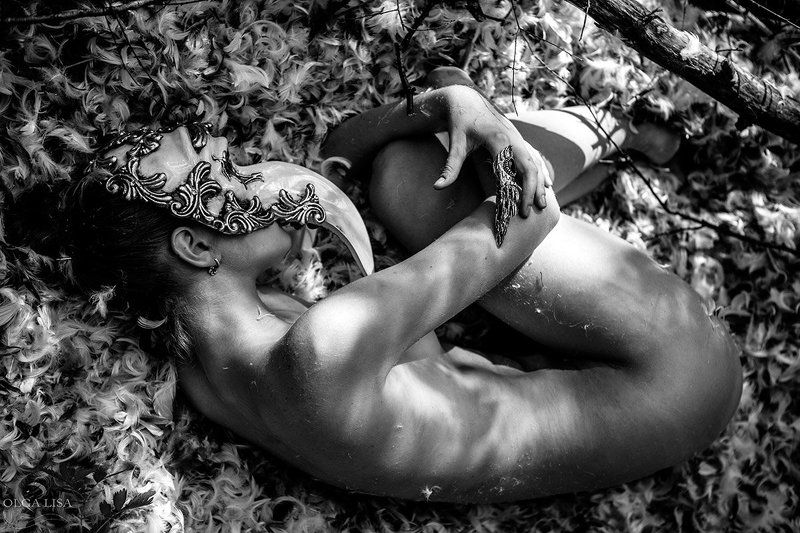 Birds, Carrion_Crow, Girl, Nest Carrion_Crows фото превью