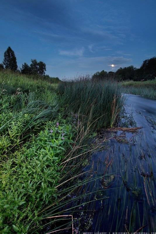 , Алексей Лобанов