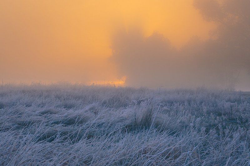 осколки прошлой осени фото превью