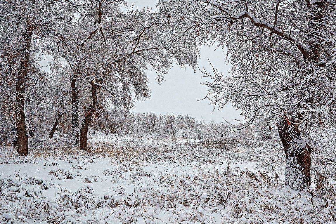 Качурин алексей, Оренбургская область, Орск, Урал, Южный урал, Качурин Алексей