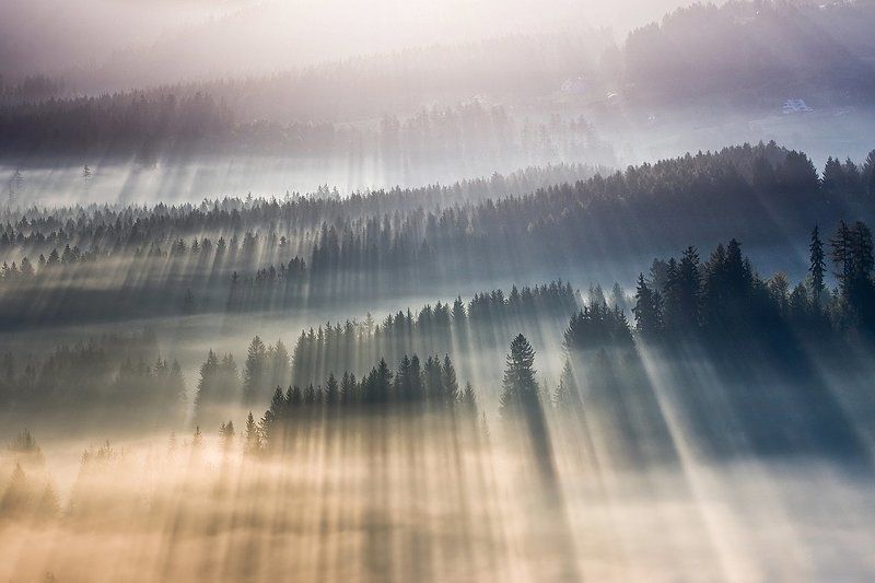 Fog, Mountains, Mountains Beskids, Rays Morning rays ... фото превью