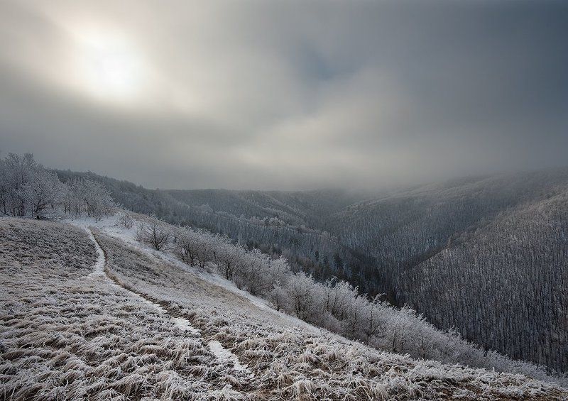 Жигулевские горы, Жигули, Зима, Иней, Мороз, Национальный парк, Облака, Самарская лука, Тропинка, Туман, Утро Последний день зимы фото превью