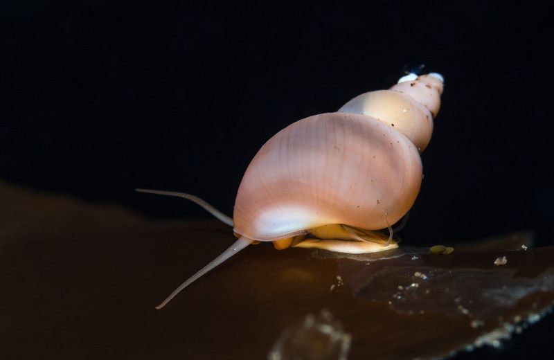 Норвежское море фото превью