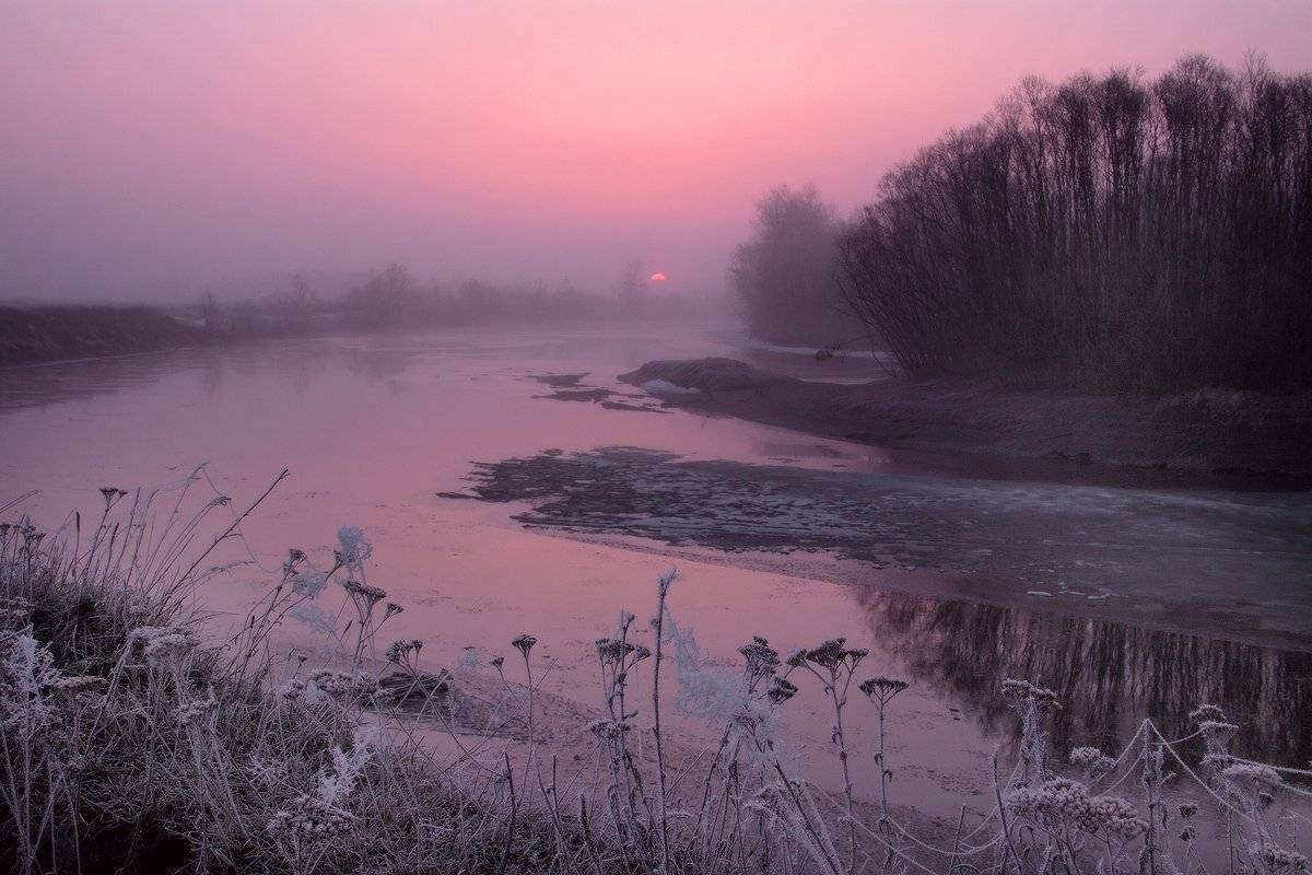 , Николай Морский