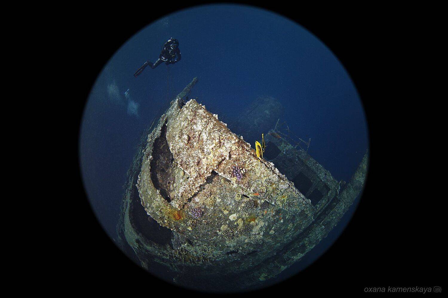 , Оксана Каменская