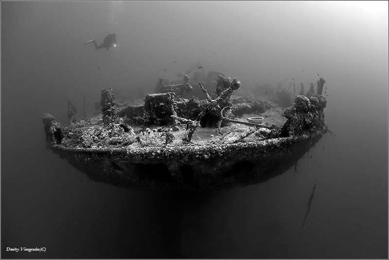 SS Turkia фото превью