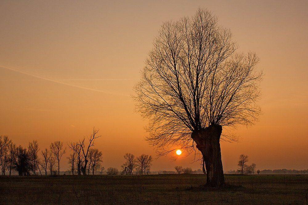 , Pawel Plucinski