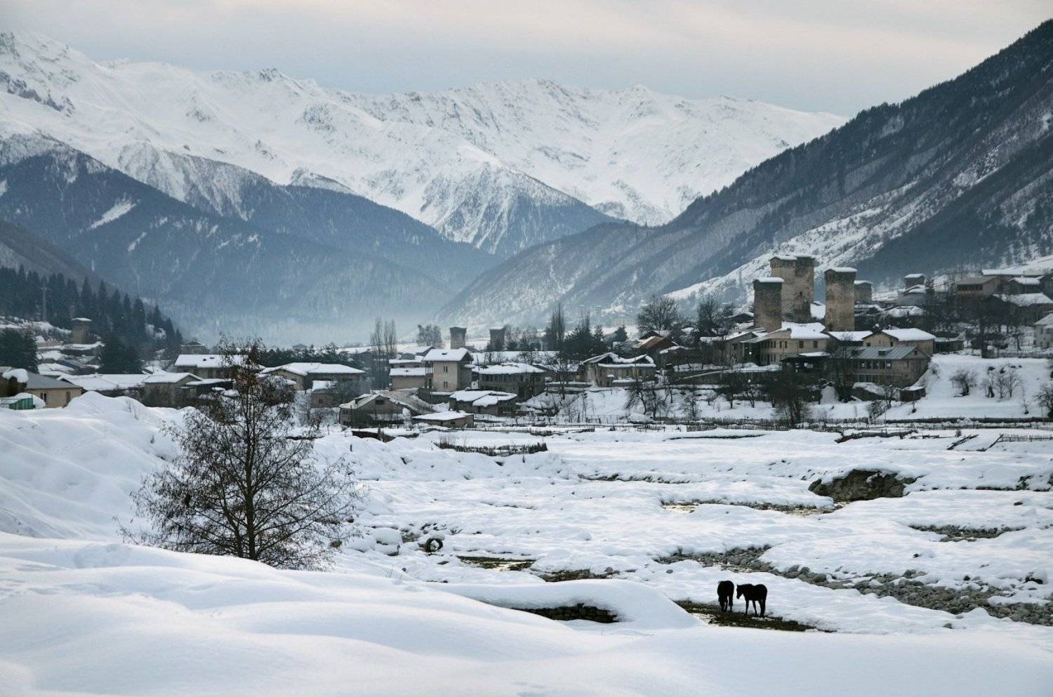 Грузия, Местиа, Сванетия, sshestov