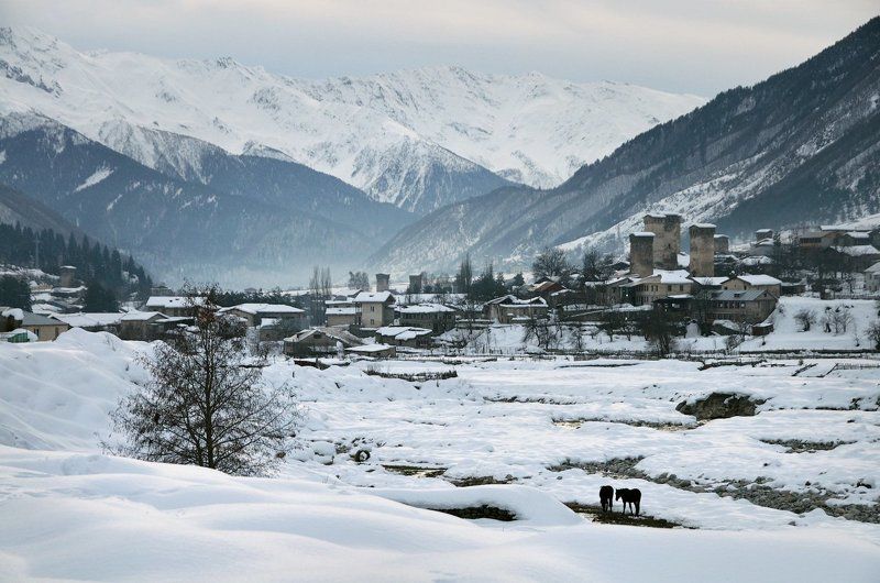 Грузия, Местиа, Сванетия Про лошадок и башенки фото превью