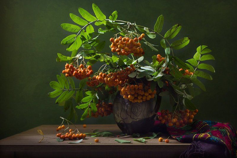 ***** фото превью