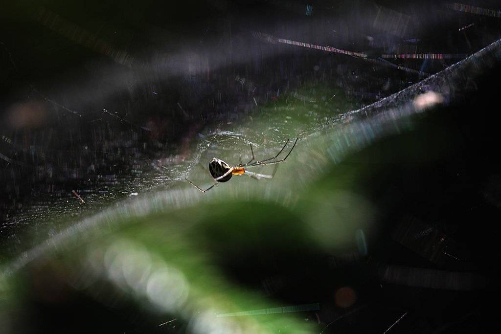 , Сергей Таланов