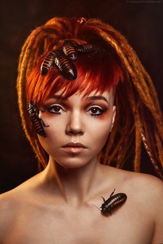 Африканские мотивы