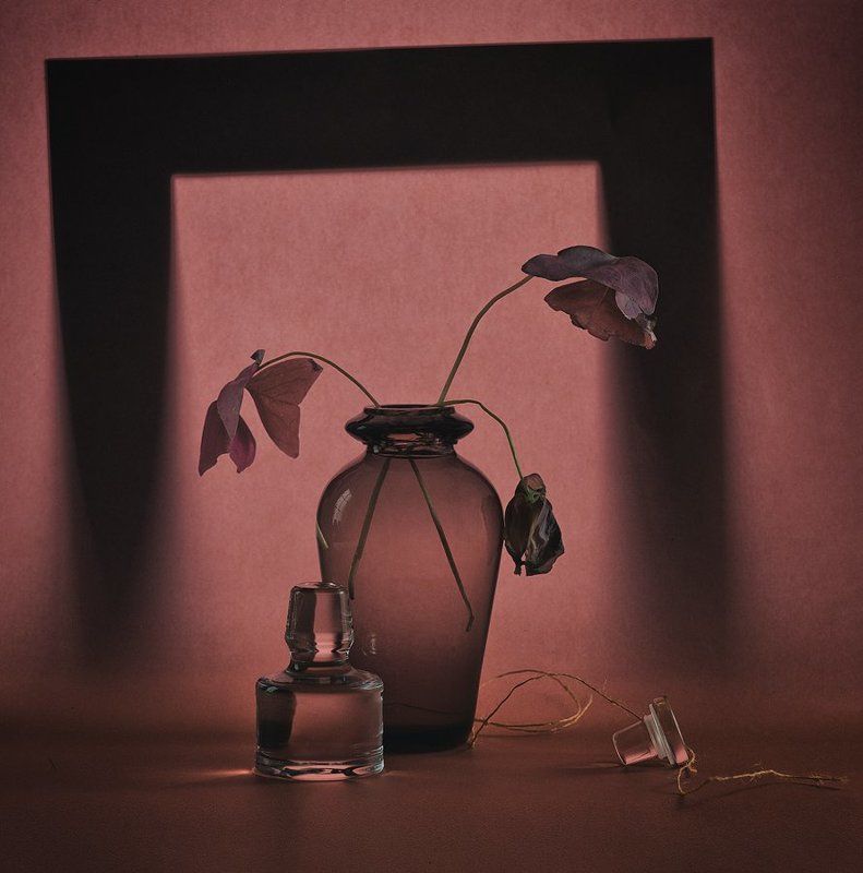 И лепестки как крылья мотылька... фото превью