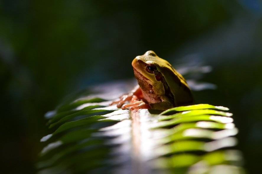 , Вячеслав Мищенко
