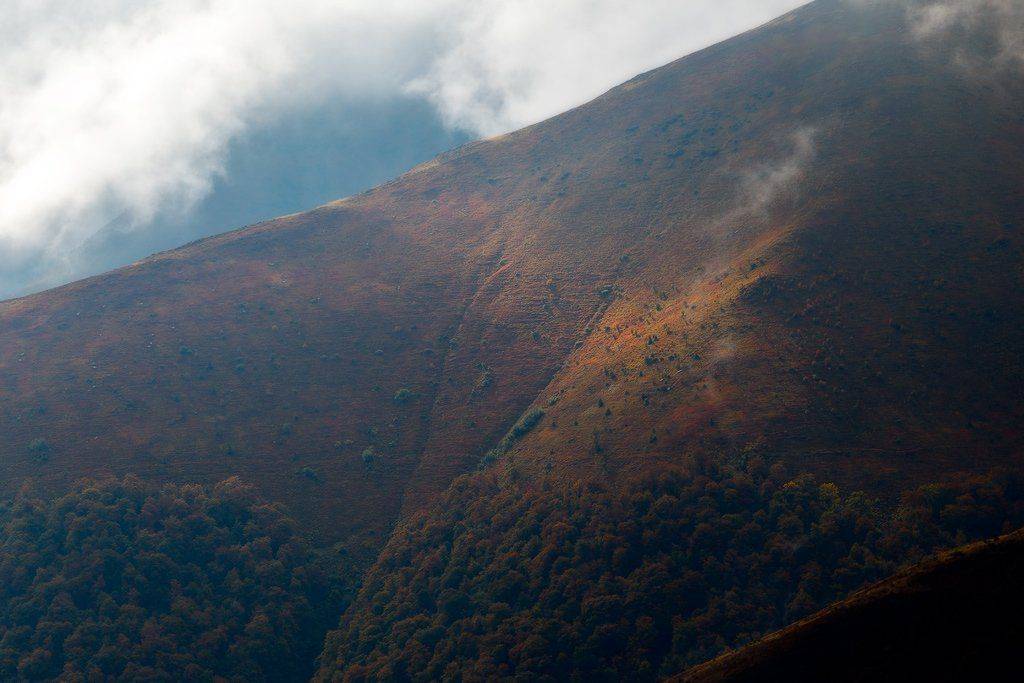 , Ярослав Тюрменко (Jaremi)