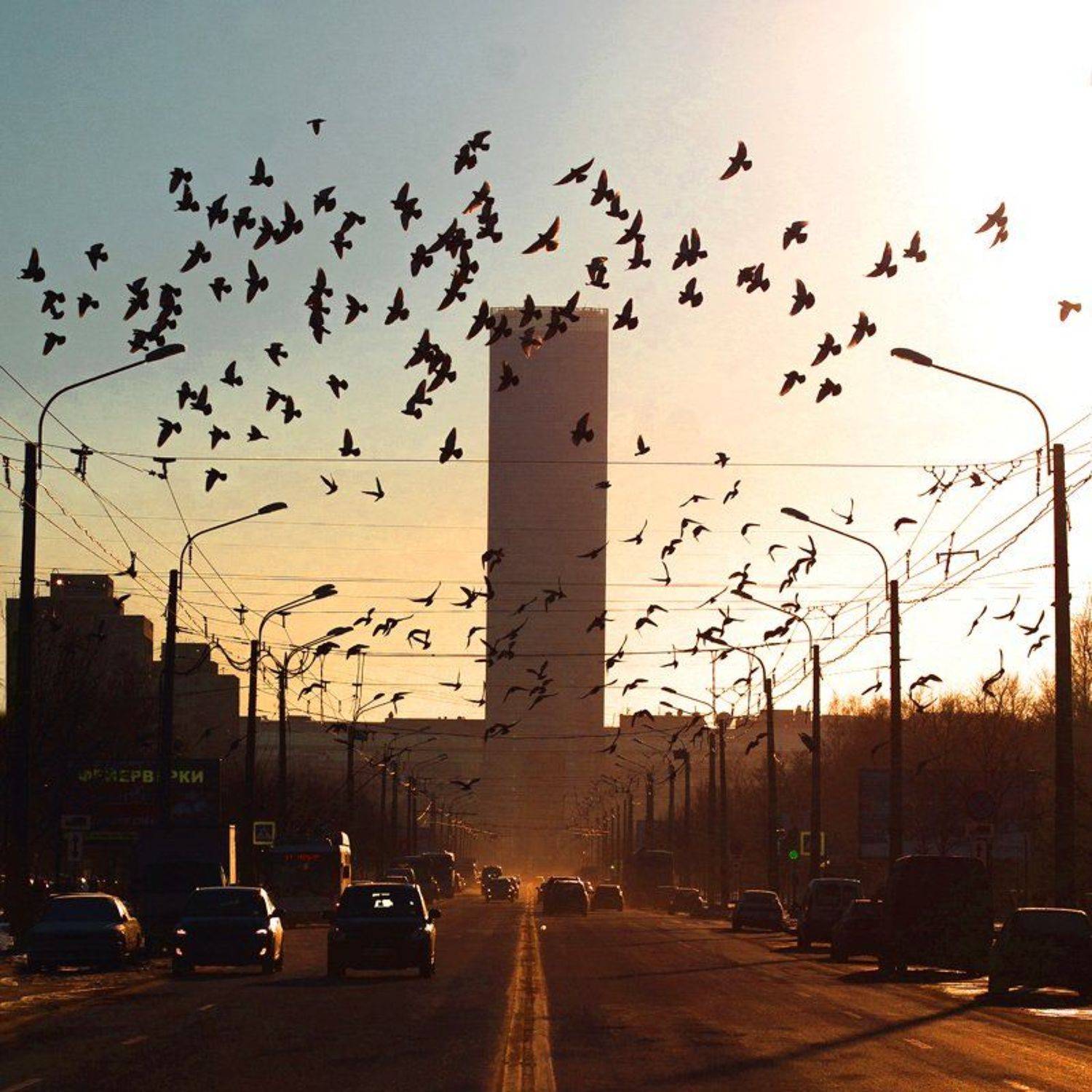 , Мухаметов Ильмир