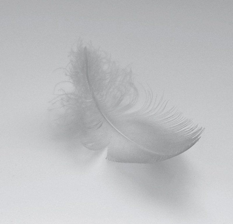 untitled#*0 фото превью