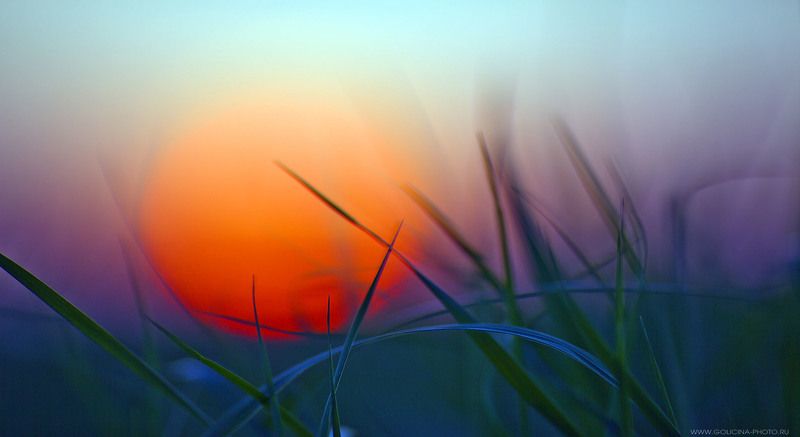 Закат, Солнце Коснусь тебя... фото превью