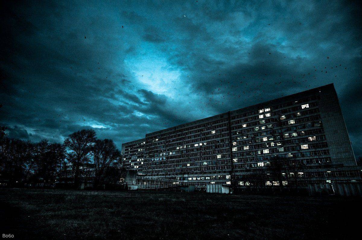 Apocalypse, Birds, Blue, Dark, Death, Fear, Scary, Sign, Sings, Boris Preslavski