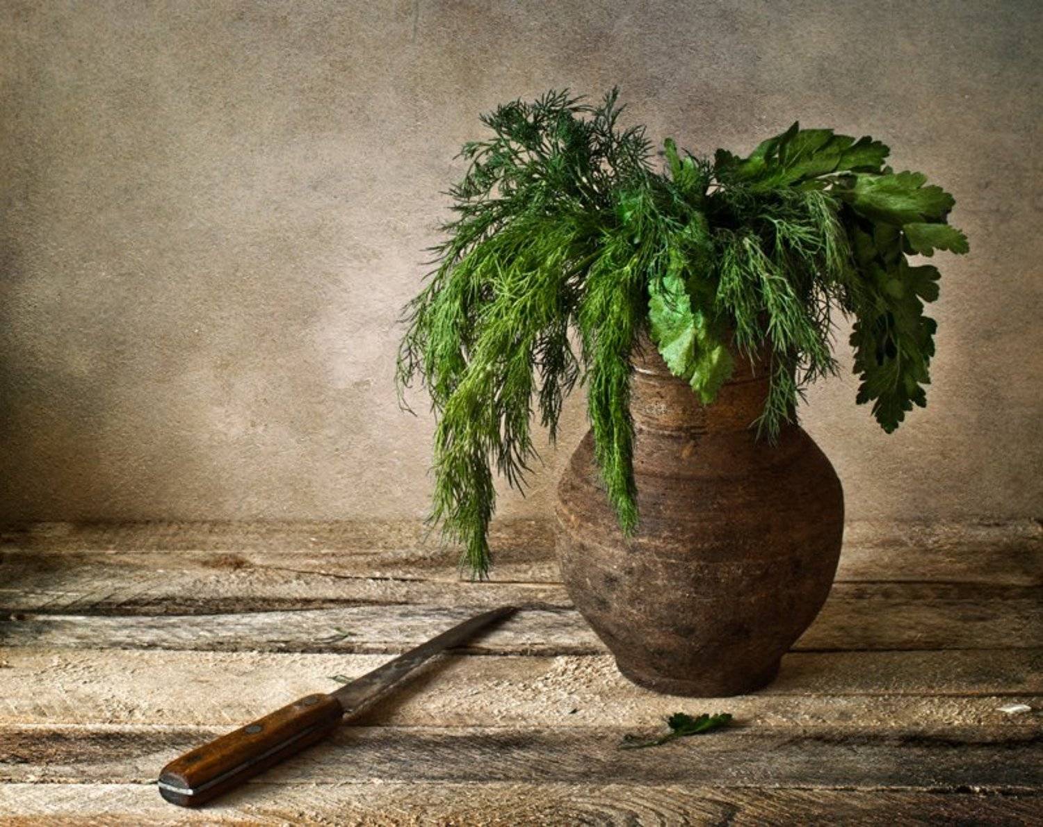 , Михаил Анисимов