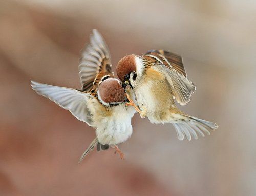Ой, не надо!