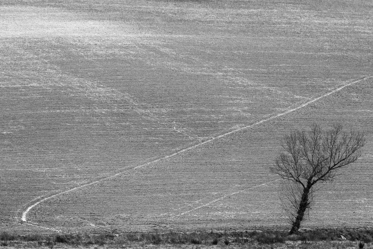 , Лядимов Дмитрий