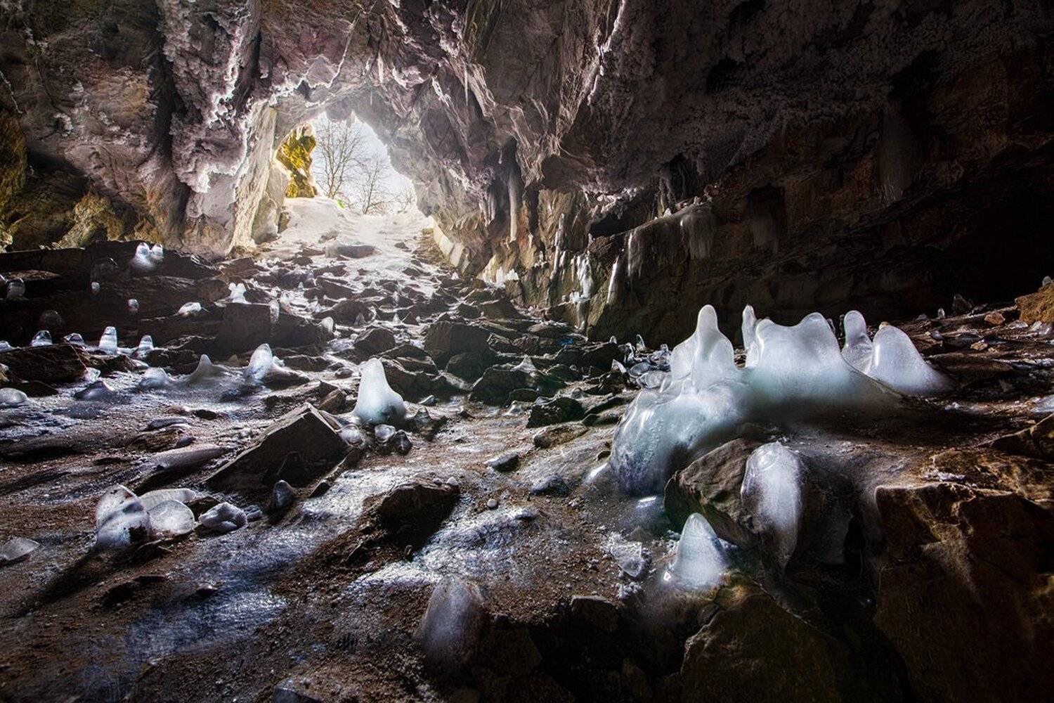, Станислав Аристов