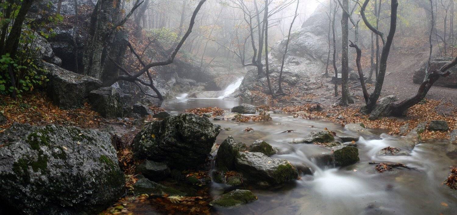 , Лихарев Александр