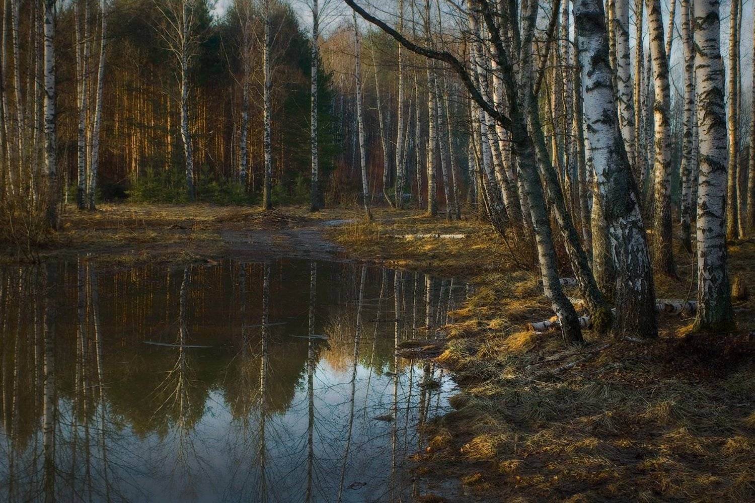 , Дмитрий Алексеев